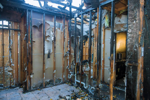 Professional Fire Damage Removal technician working in Kermit, TX